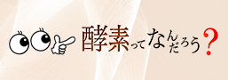 酵素ってなんだろう