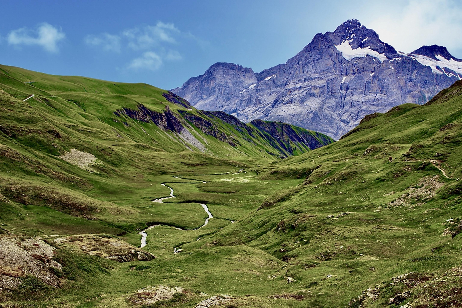 コラム＜ レシピ＆薬膳＞