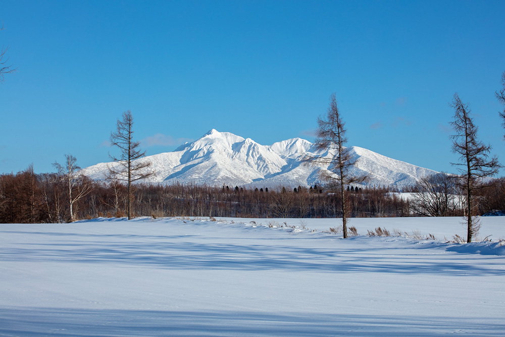 コラム＜ レシピ＆薬膳＞